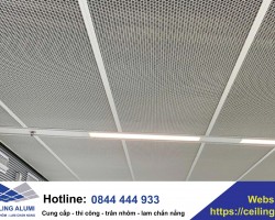 Trần Mesh Ceiling (Trần lưới)